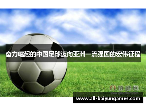 奋力崛起的中国足球迈向亚洲一流强国的宏伟征程