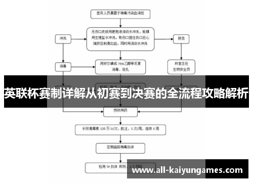 英联杯赛制详解从初赛到决赛的全流程攻略解析